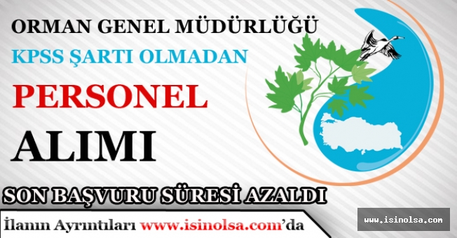 Orman Genel Müdürlüğü KPSS'siz Personel Alımı İçin Başvuru Süresi Az Kaldı!