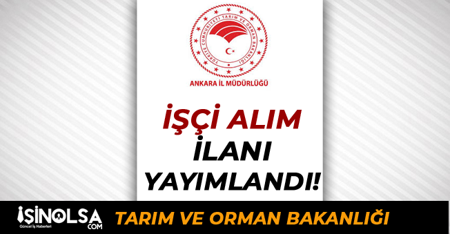 Ankara İl Tarım ve Orman Müdürlüğü İşçi Alım İlanı Yayımlandı! Lise Mezunu