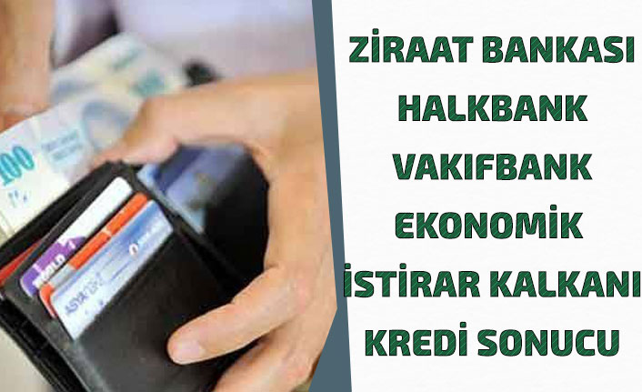 Maliye Bakanından Açıklama! Halkbank, Ziraat, Vakıfbank 6 Ay Ödemesiz Kredi Başvuru Sonuçları!