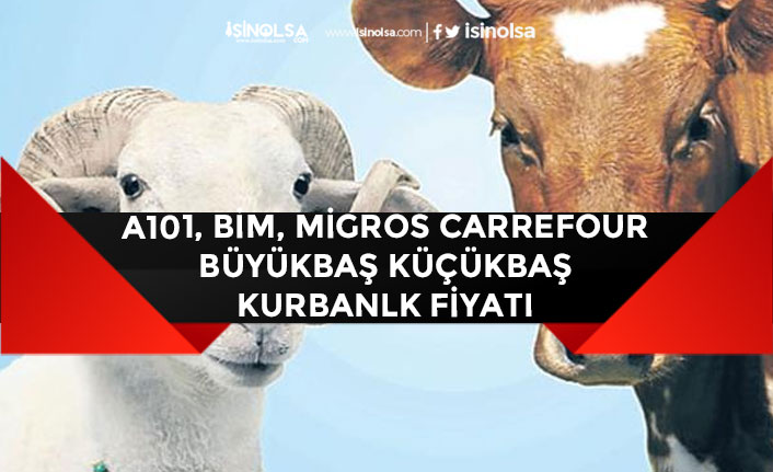 A101, Bim, Migros, Carrefour 2020 Büyükbaş Küçükbaş Kurbanlık Fiyatları!
