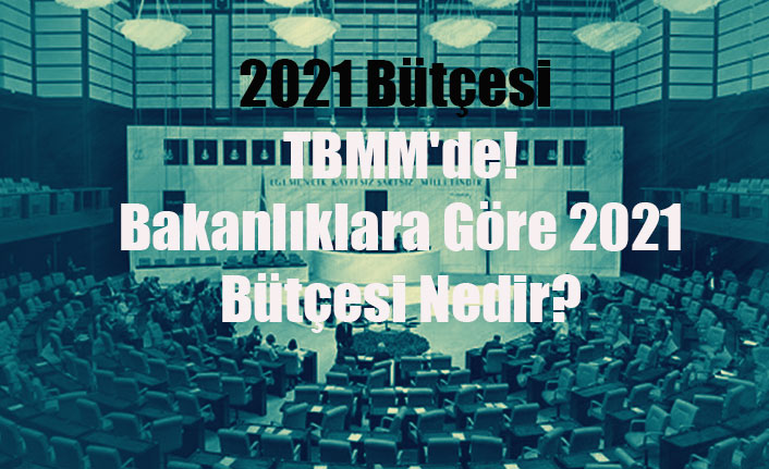 2021 Bütçesi TBMM'de! Bakanlıklara Göre 2021 Bütçesi Nedir?