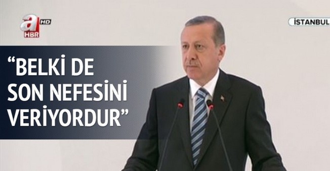 Erdoğan'dan Çok Önemli Mülteci Açıklaması