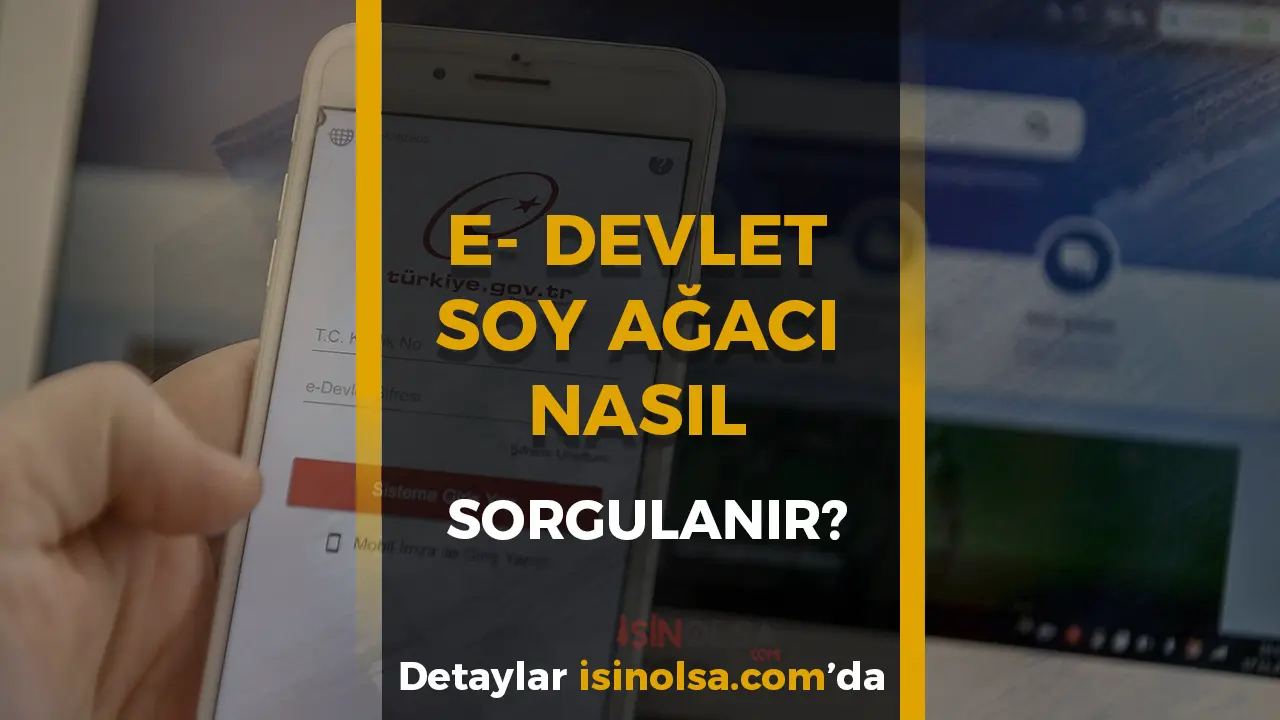 Soy Ağacı Nasıl Bulunur? 3 Adımda e‑Devlet Sorgulama Rehberi