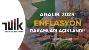 TÜİK’in Açıkladığı Enflasyon Verileri: Aralık 2023’te Yıllık %64,77 Artış
