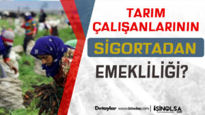Tarım Çalışanlarının Sigortası Nasıl ve Neye Göre Yapılır?