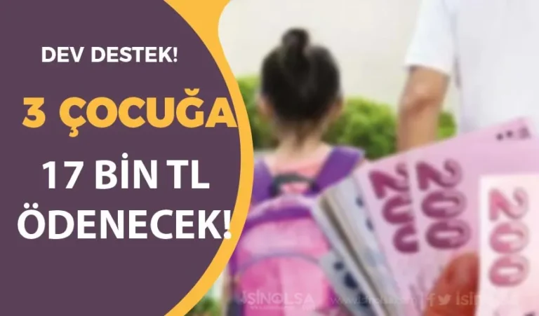 devlet desteg