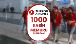 THY 2024 Yılı 1000 Kabin Memuru Alımı Daha Yapacak! Şartlar Nedir?