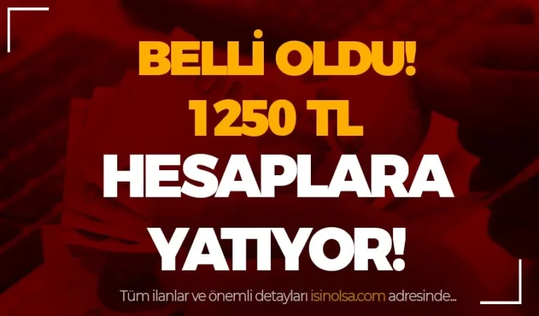 Aile Destek Programı Ödemeleri: 1.250 TL Hesaplara Yatacak! 16 aile destek odemeeri
