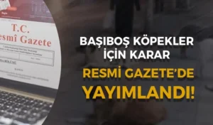 Başıboş Köpeklere Yönelik Kanun Resmi Gazete’de!