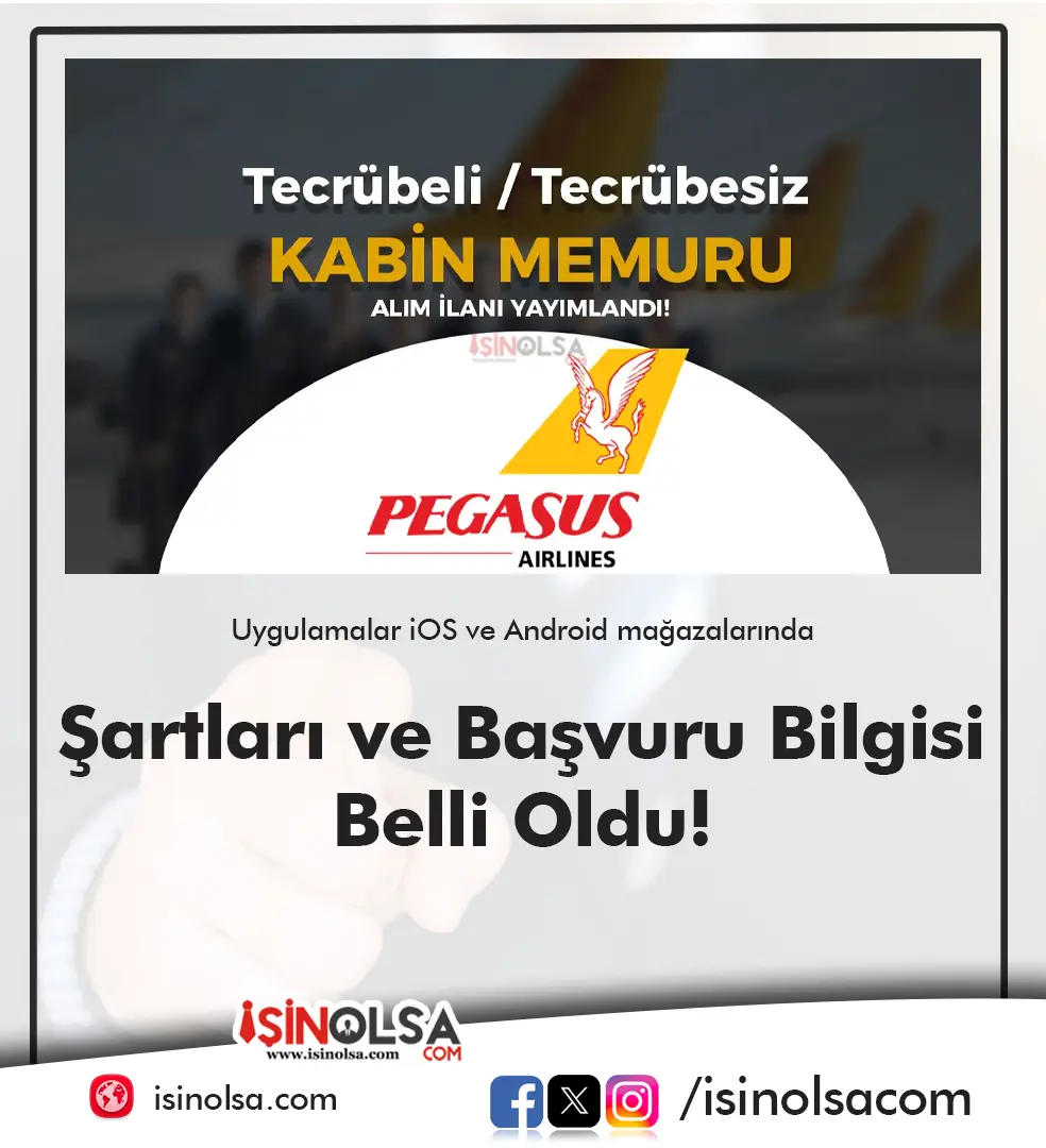 Pegasus Kabin Memuru Alımı 2025 Başvuru Şartları, Süreç