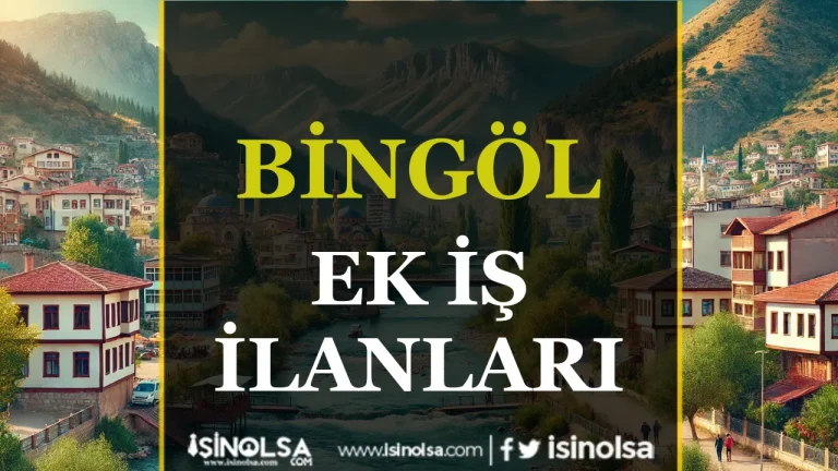Bingöl Ek İş İlanları: Evden Çalışarak Ek Gelir Elde Etmenin Yolları 19 Bingöl ek iş ilanları