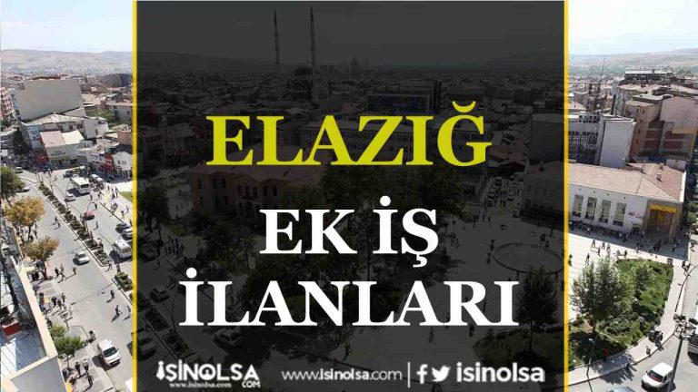 Elazığ Ek İş İlanları: Evde Çalışarak Ek Gelir Fırsatları 17 ELAZIĞ iş ilanları