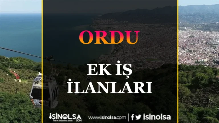 Ordu Ek İş İlanları: Ek Gelir Fırsatlarını Kaçırmayın! 16 Ordu Ek Is Ilanlari