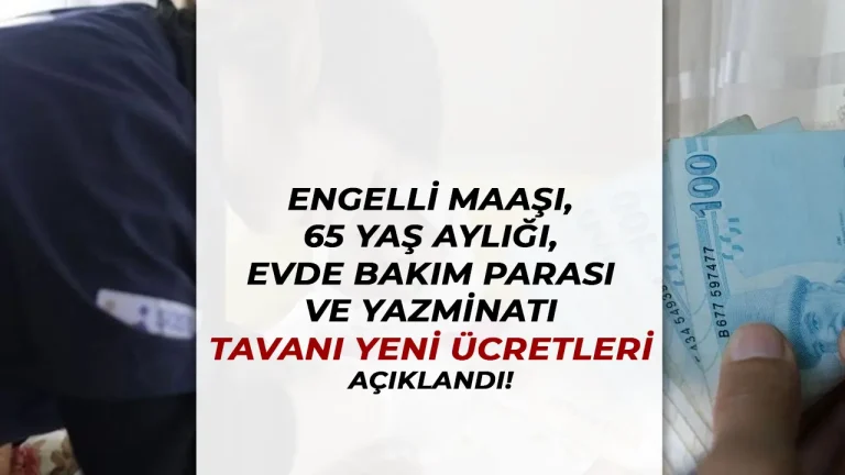 engelli maasi