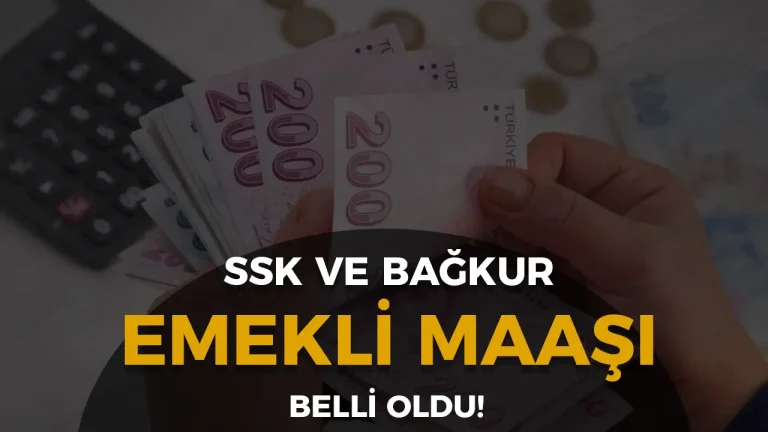 SSK ve Bağkur Emeklilerinin Maaş Zammı Belli Oldu! İşte Ocak 2025 Zam Oranları 16 ssk ve bağkur