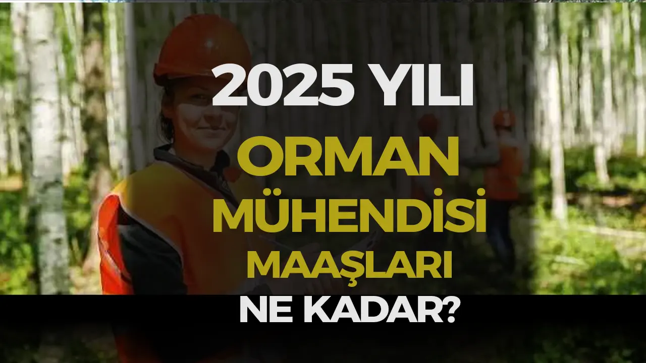 2025 Kamu Orman Mühendisi Maaşları Ne Kadar