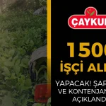 ÇAYKUR 1500 İşçi Alımı Yapacak! İŞKUR Şartlar Ve Kontenjanlar