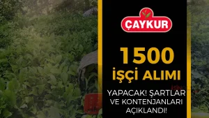 ÇAYKUR 1500 İşçi Alımı Yapacak! İŞKUR Şartlar Ve Kontenjanlar