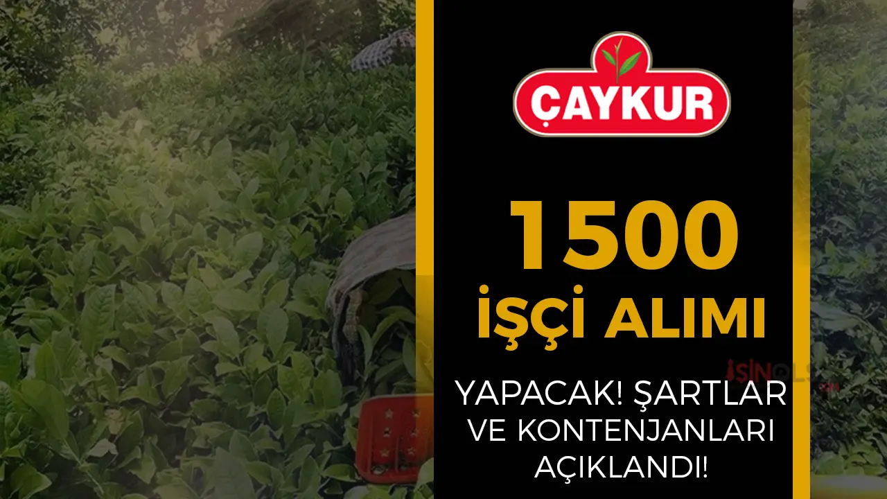 ÇAYKUR 1500 İşçi Alımı Yapacak! İŞKUR Şartlar Ve Kontenjanlar