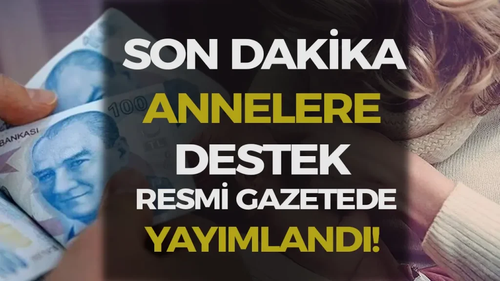 Doğum Yardımı Yönetmeliği Resmî Gazete’de Yayımlandı