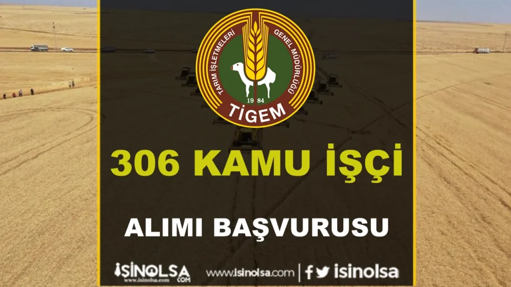 tigem 306 kamu isci alimi basvurusu