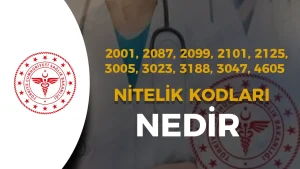 2001, 2087, 2099, 2101, 2125, 3005, 3023, 3188, 3047, 4605 Nitelik Kodları Ne Demek? Sağlık Bakanlığı 2025/4 KPSS Tercih Kılavuzu Yayımlandı
