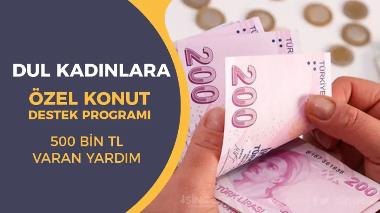 Dul Kadınlara Özel Konut Destek Programı: Devletten 500 Bin TL’ye Varan Yardım