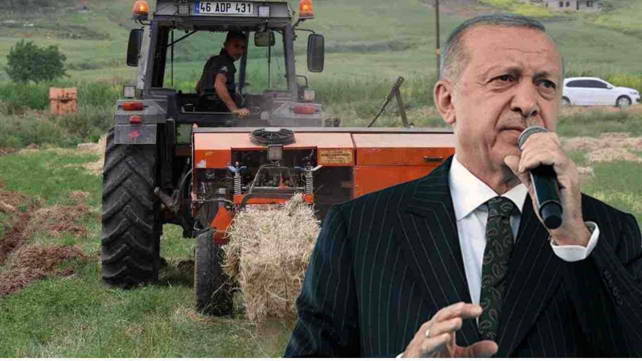 Devlet, Köyüne Dönen Gençlere Bedava Arazi Verecek!