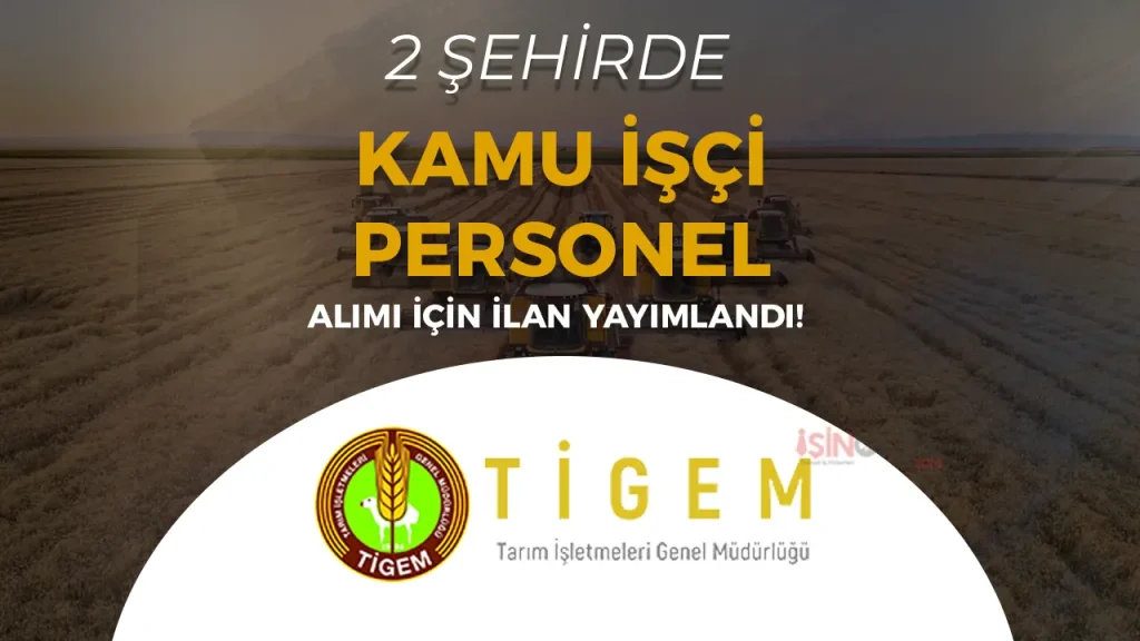 tigem 9 isci perosnel alimi