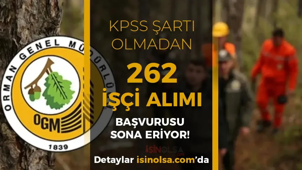 Orman Genel Müdürlüğü ( OGM ) 262 İşçi Alımı Başvurusu Sona Eriyor!