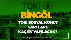Bingöl TOKİ Sosyal Konut Başvuruları Ne Zaman Başlayacak?