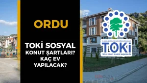 Ordu TOKİ Sosyal Konut Projesi Nerede Yapılacak, Kaç Ev Olacak?