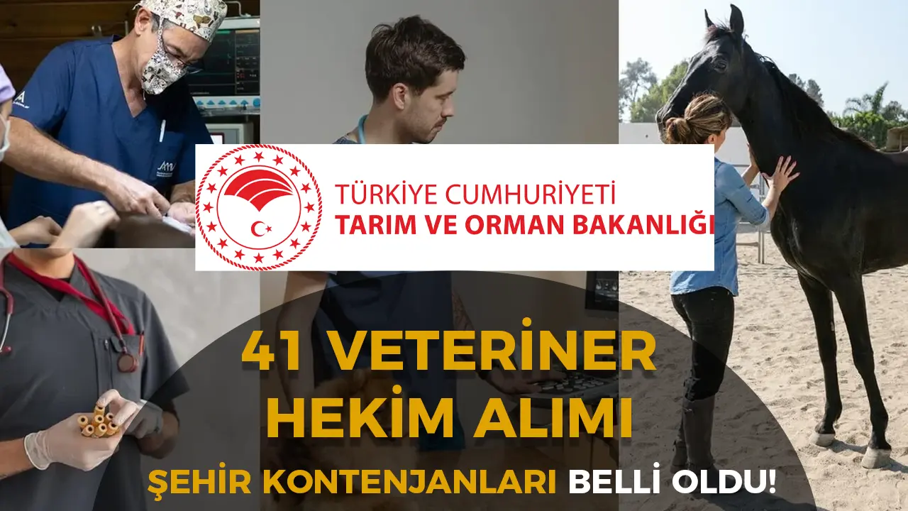 Tarım Bakanlığı 2025 yılı 41 Veteriner Hekim Alınacak! İşte Şehir Kontenjan
