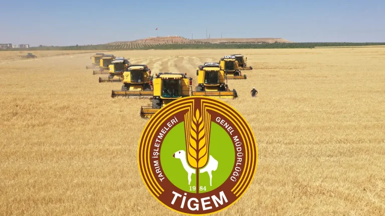 TİGEM Görevde Yükselme ve Unvan Değişikliği Yönetmeliğinde Önemli Değişiklikler Resmî Gazete’de Yayımlandı