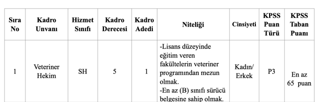 Datça Belediyesi 65 KPSS ile Memur Alımı Yapıyor 1 image 114