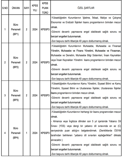 Türk-Alman Üniversitesi 19 Sözleşmeli Personel Alacak! Başvurular Başladı 1 image 87