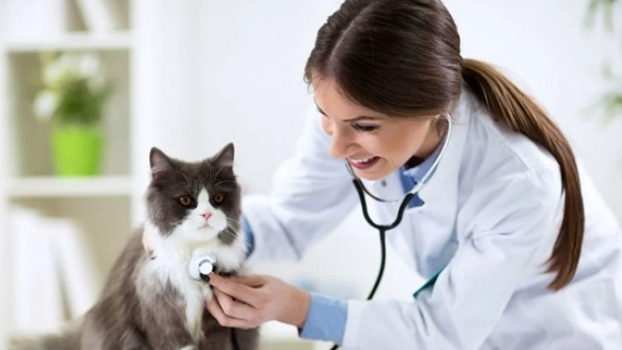 Hilvan Belediyesi 2026 Yılı Memur Alımı Yapacak