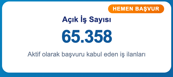 Kamu ve Özele 67 Bin 320 İşçi Personel Alımı Yapılacak! İşte 2000 Meslekler İŞKUR Listesi 1 image 202