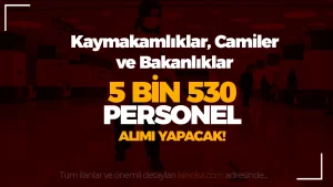 Kaymakamlıklar, Camiler ve Bakanlıklar İŞKUR İle 5 Bin 530 İUP Personel Alımı Yapacak!