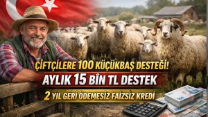 Çiftçilere 100 Küçükbaş Desteği 2026: Aylık 15 Bin TL Ödeme ve 2 Yıl Geri Ödemesiz Faizsiz Kredi