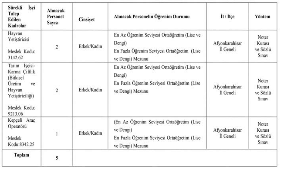 Afyon Kocatepe Üniversitesi 5 Sürekli İşçi Alımı Yapacak! 4 image 4
