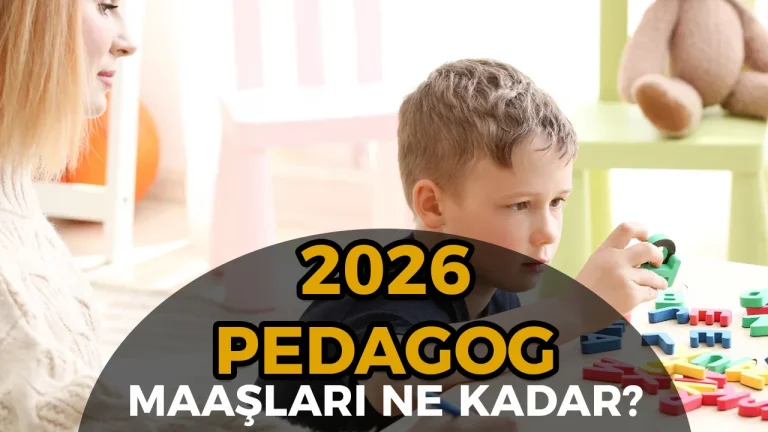 Pedagog Maaşı 2026: Adalet, Sağlık Bakanlığı ve Özel Sektör Güncel Ücret Tablosu