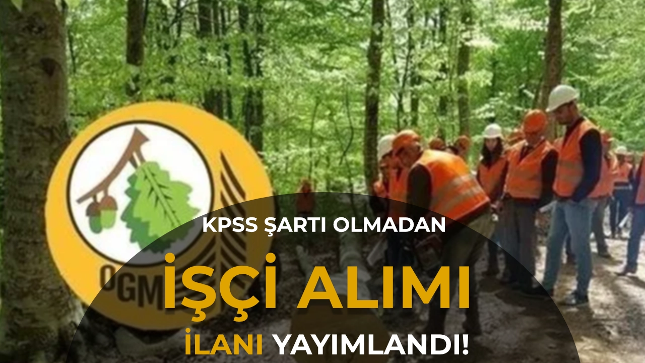 Afyonkarahisar Orman İşletme Müdürlüğü 12 İşçi Alacak!