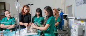 Anestezi 2 Yıllık 2026 Taban Puanları