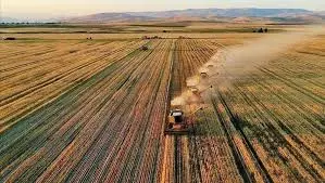 Tarım ve Orman Bakanlığı’ndan Çiftçilere 17 Milyar TL Destek Müjdesi