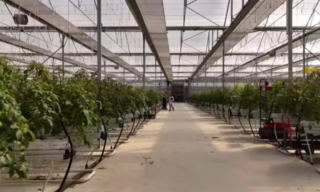 Tarım Bakanlığı 1000 Personel Alımı Yapacak! 4 image 15