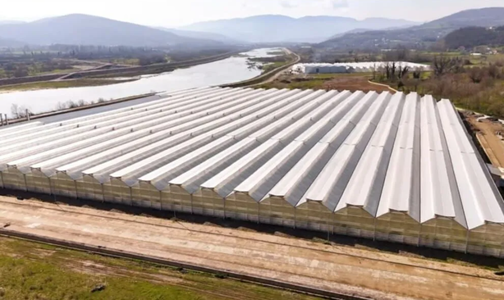 Tarım Bakanlığı 1000 Personel Alımı Yapacak! 5 image 16