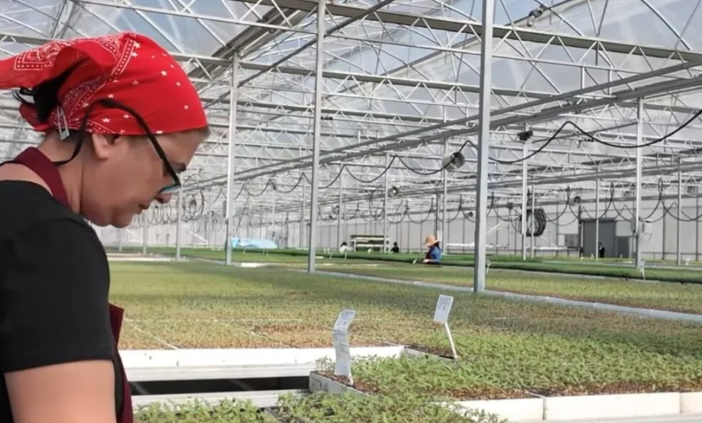 Tarım Bakanlığı 1000 Personel Alımı Yapacak! 6 image 17