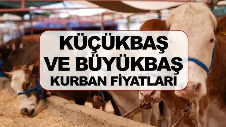 2026 Kurbanlık Fiyatları İl İl Belli Oldu!
