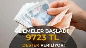 SED Çocuk Yardımı Mayıs Ödemeleri Başladı: Çocuk Başına Ortalama 9.723 TL